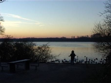 Nettetal : Im Winter an den Krickenbecker Seen, Verlauf eines Sonnenunterganges